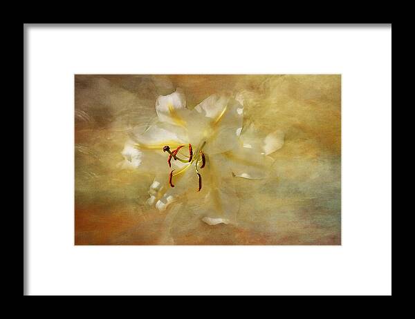 White Lily Framed Print featuring the photograph I am so Happy for You by Marina Kojukhova