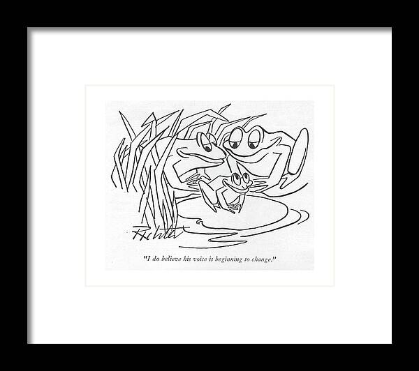 113435 Mri Mischa Richter Parent Frogs About Little One. About Adolescence Adolescent Adolescents Age Amphibians Animals Child Childhood Children Families Family Frog Frogs Kids Little One Parent Parenting Parents Puberty Rearing Teen Teenage Teenager Teenagers Teens Youth Framed Print featuring the drawing I Do Believe His Voice Is Beginning To Change by Mischa Richter