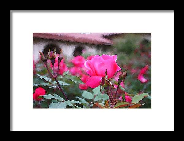Rose Framed Print featuring the photograph I Dreamed of a Rose Garden by Ellen Tully