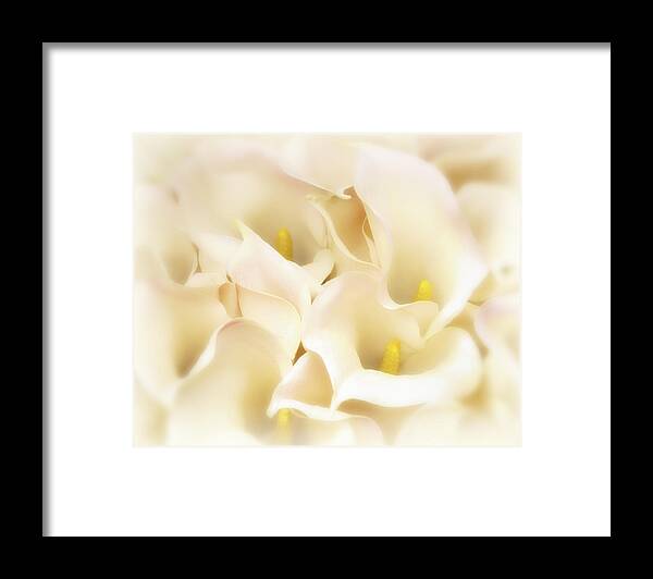 Calla Lily Framed Print featuring the photograph I dreamed of Calla Lilies by Gigi Ebert