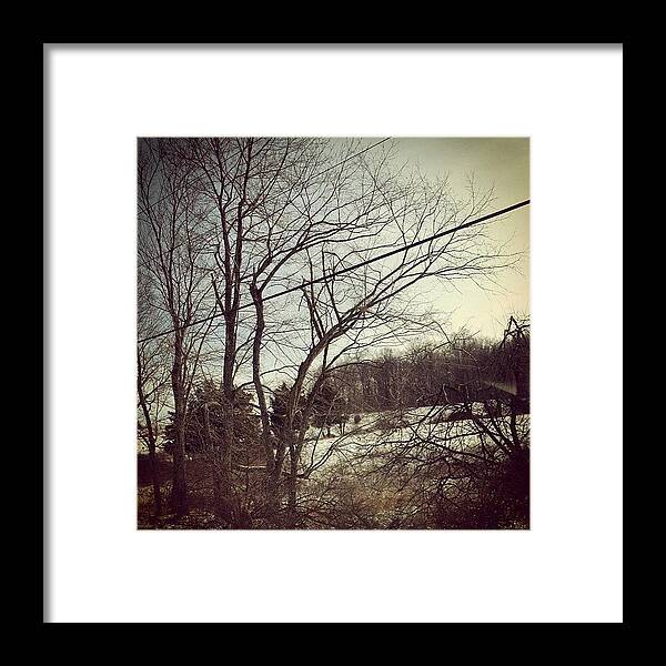 Yard Framed Print featuring the photograph I Have No Idea I Thought It Looked Cool by Amber Campanaro