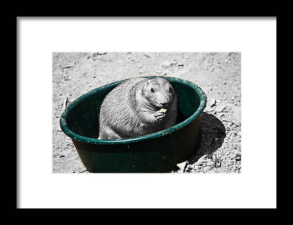 Prairie Framed Print featuring the photograph I Just Ate A Little Bit by Ms Judi