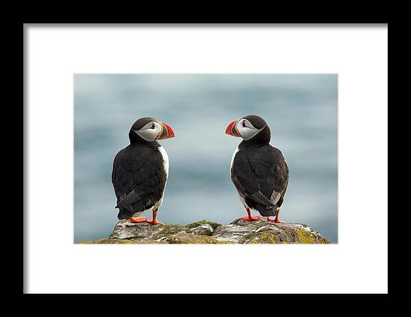 Iceland Framed Print featuring the photograph I Love You - I Love You Too by Milan Zygmunt