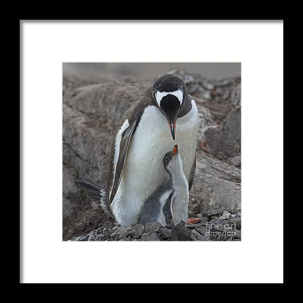 Festblues Framed Print featuring the photograph I Love You... by Nina Stavlund