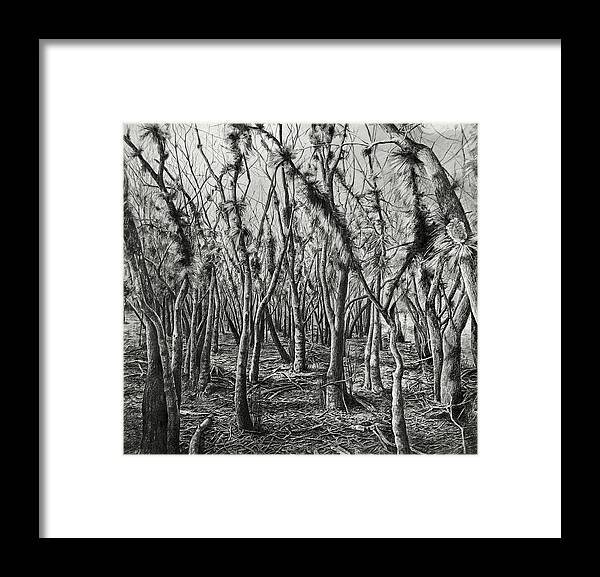 Landscape Framed Print featuring the drawing If Not for These Trees I Could See the Forest by William Underwood
