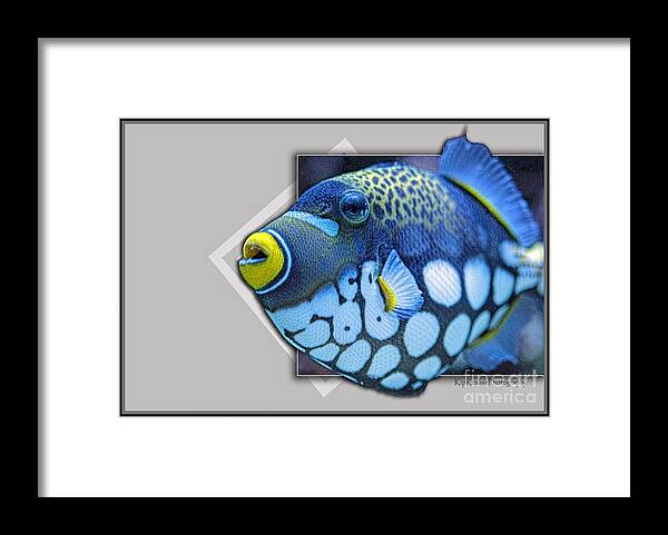Buck Rogers Framed Print featuring the photograph Fish - I See Spots by Kip Krause
