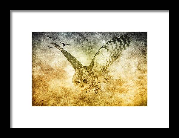 Great Grey Owl Framed Print featuring the photograph I shall return by Eti Reid