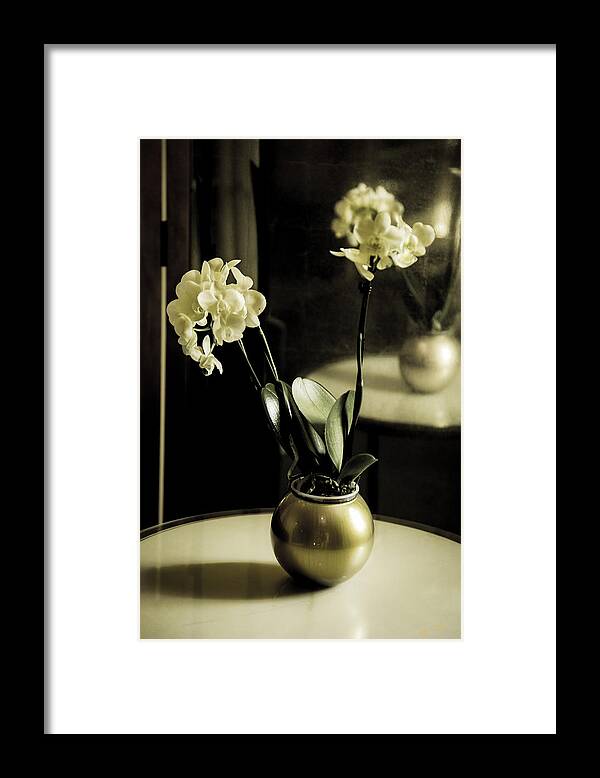 Flowers Framed Print featuring the photograph Delicate Reflection by Madeline Ellis