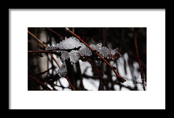 Snow Framed Print featuring the photograph Ice 3 by Linda Shafer