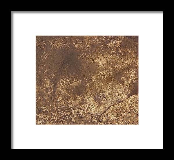 Ice Leaf Framed Print featuring the photograph Ice Leaf by Sami Tiainen