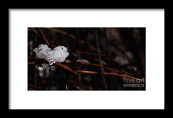 Snow Framed Print featuring the photograph Ice by Linda Shafer