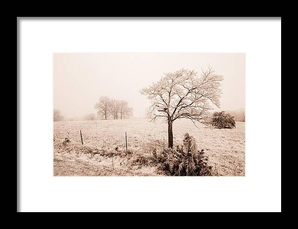 Landscape Framed Print featuring the photograph Ice Storm by Brent Craft