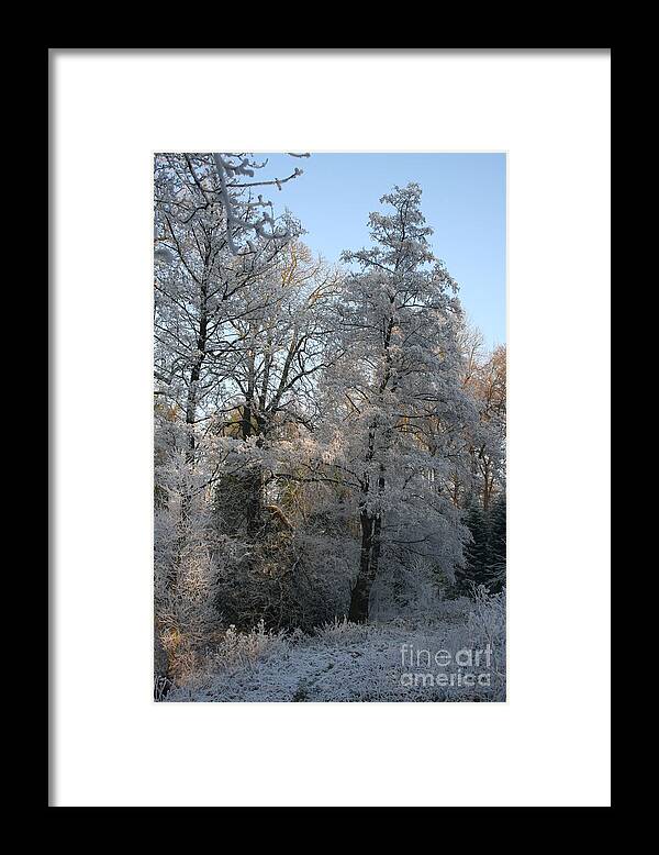 Ice Framed Print featuring the photograph Iced Trees by Christiane Schulze Art And Photography