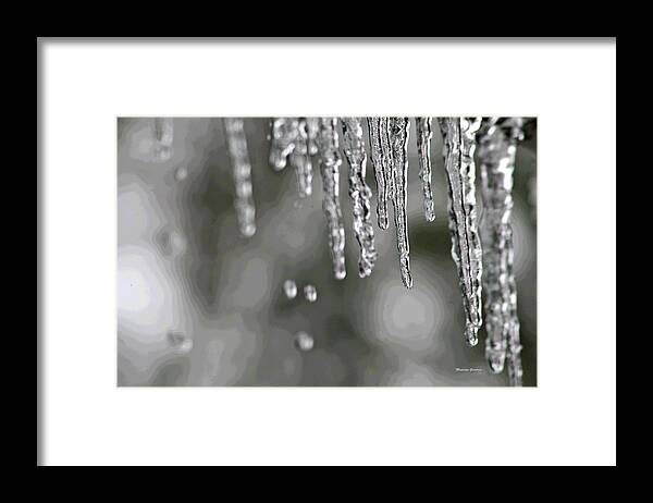  Framed Print featuring the photograph Icicles by Matalyn Gardner