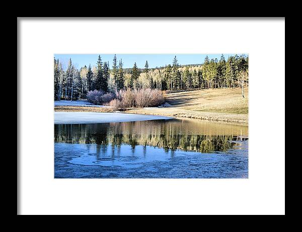 Nature Framed Print featuring the photograph Icy Reflections by Jacqui Binford-Bell