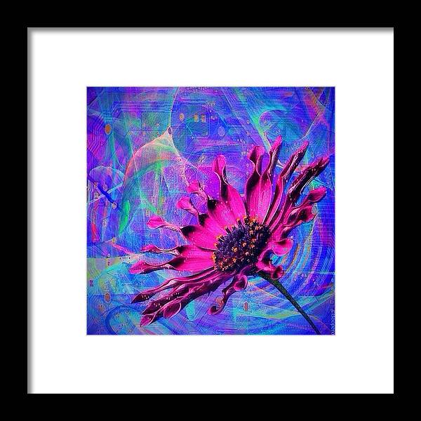 Flower Framed Print featuring the photograph Iflower - Programmed To Bloom by Photography By Boopero