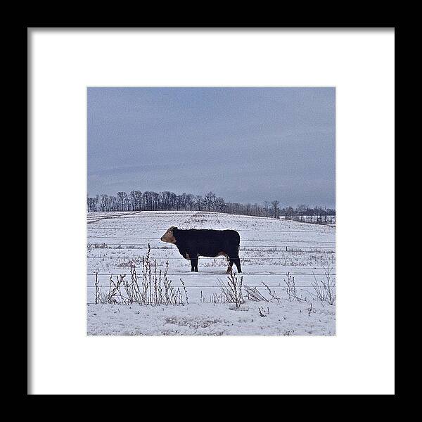 Farm Framed Print featuring the photograph I'll Pay You No Attention #humblepa by Sara Lauver