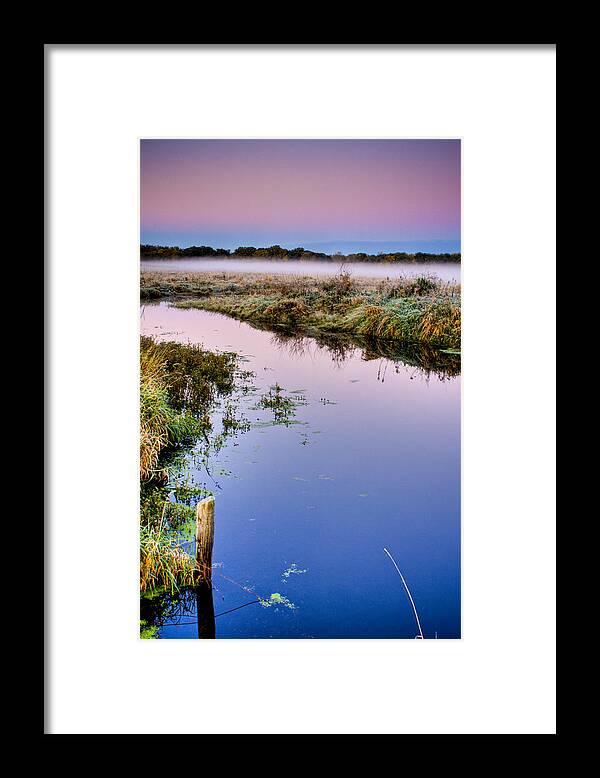 Pictorial Framed Print featuring the photograph Black Tern Marsh at Dawn No. 1 by Roger Passman