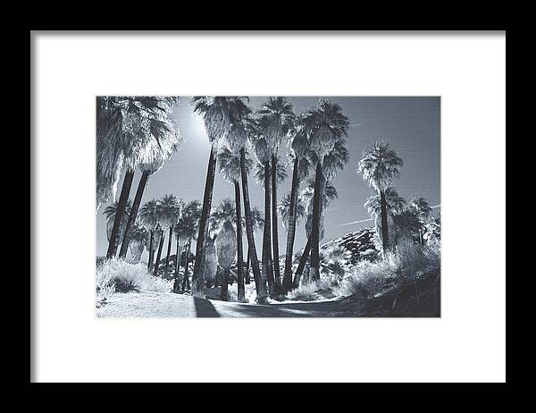 Indian Canyons Framed Print featuring the photograph Illuminate by Laurie Search