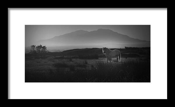 Horse Framed Print featuring the photograph Illumination Isle of Skye by Sally Ross