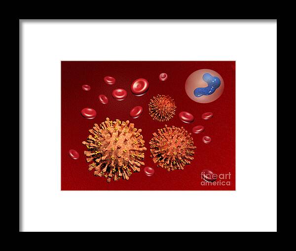 Disease Framed Print featuring the photograph Illustration Of Influenza by Scott Camazine