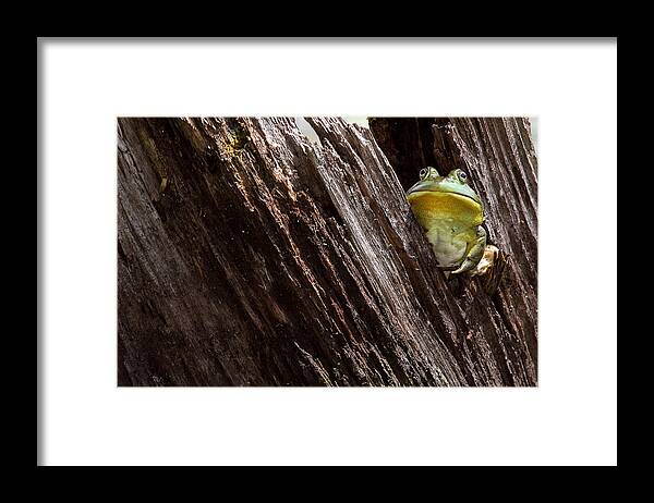 Color Framed Print featuring the photograph I'm A Little Big Grumpy by Dawn J Benko