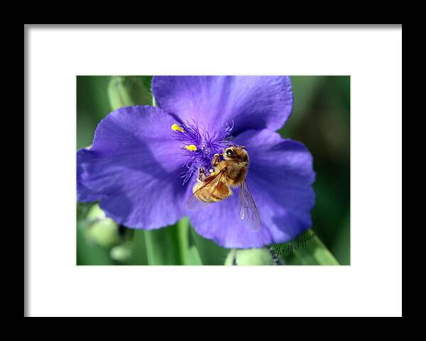 Bee Framed Print featuring the photograph I'm Busy by Kristy Jeppson