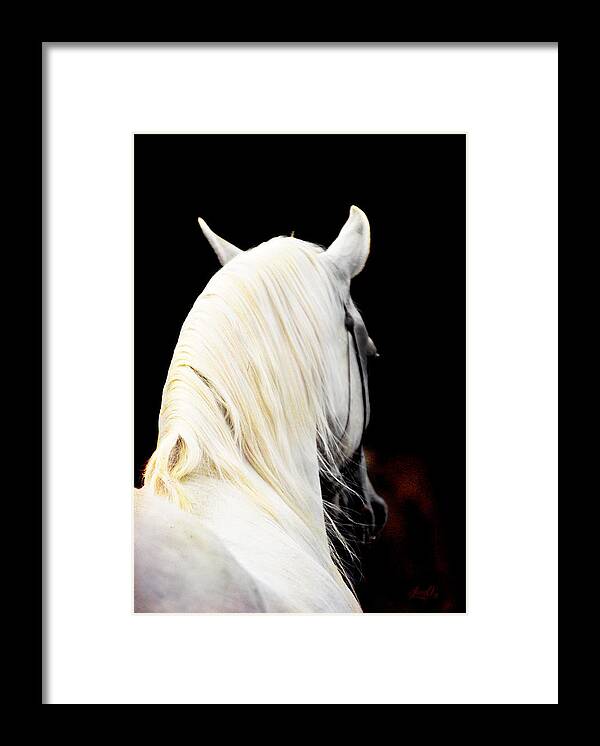 Horse Framed Print featuring the digital art I'm Listening by Janice OConnor