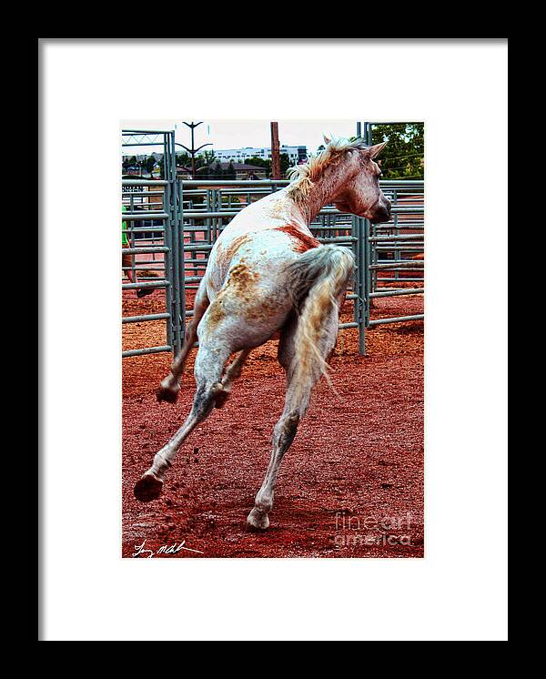 Horse Framed Print featuring the photograph I'm off by Tommy Anderson