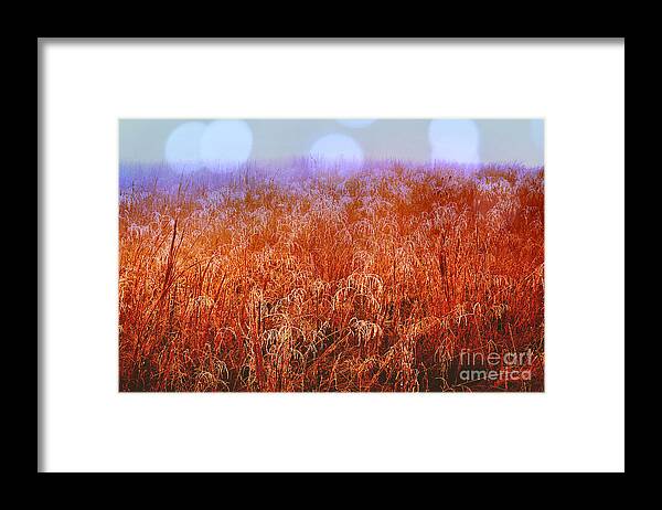 Field Framed Print featuring the photograph Imagine by Carlee Ojeda
