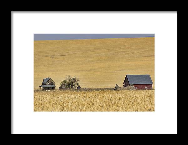 Homestead Framed Print featuring the photograph In a Sea of Wheat by Cathy Anderson