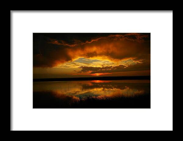 Reflections Framed Print featuring the photograph In All His Glory by Jeff Swan