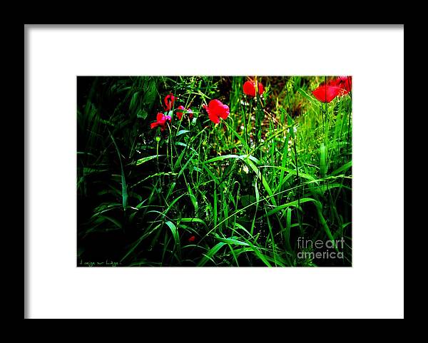 Poppies Framed Print featuring the photograph In Flanders Fields by Mariana Costa Weldon