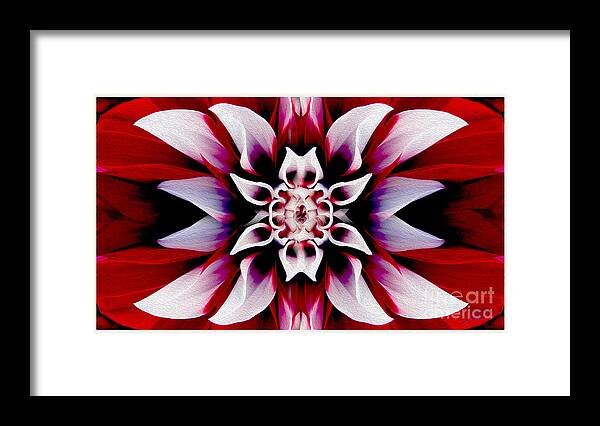 Flower Framed Print featuring the mixed media In Full Bloom by Jon Neidert