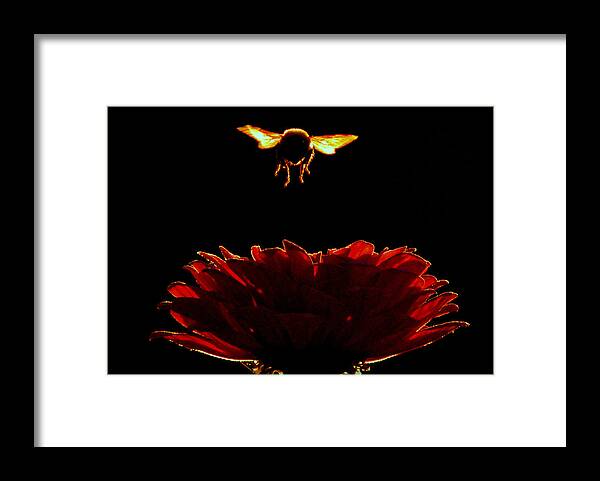 Nature Framed Print featuring the photograph In HIS Light.. by Al Swasey