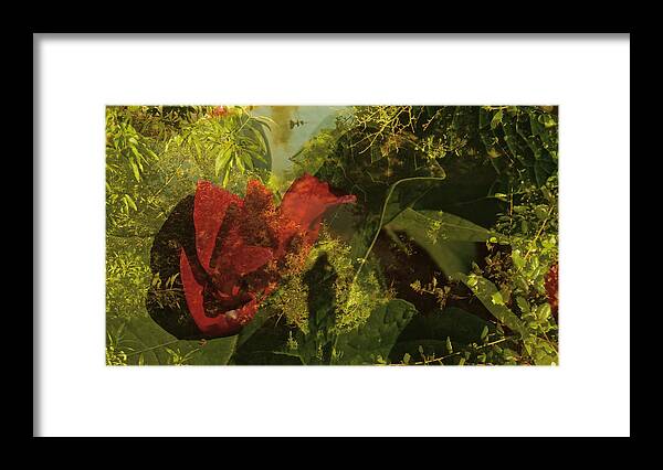 Sacramento; Creek; Flowers; Faithful Companion; The Shadow Framed Print featuring the photograph In The Gardens of Your Bloom by Georg Kickinger
