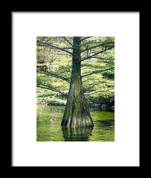 Lake Framed Print featuring the photograph In the Lake by Roberto Alamino