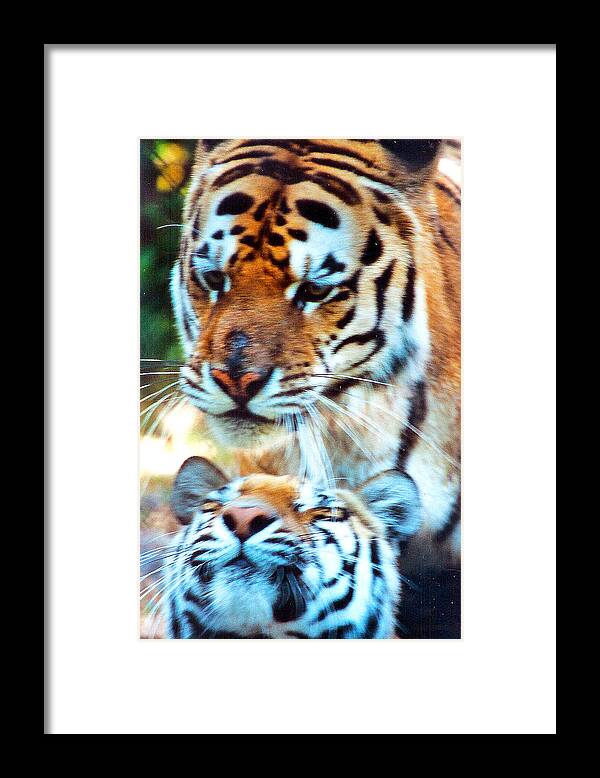 Film Framed Print featuring the photograph In the Moment by Jennifer Robin