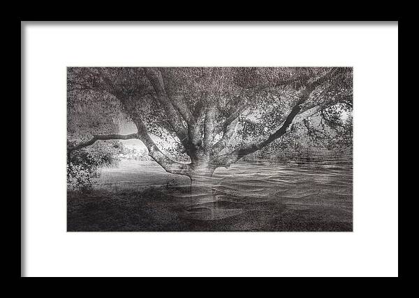 Tree Framed Print featuring the photograph In your arms by Suzy Norris