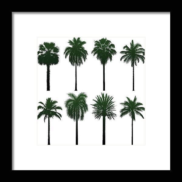 Tropical Tree Framed Print featuring the digital art Incredibly Detailed Palm Trees by Leontura