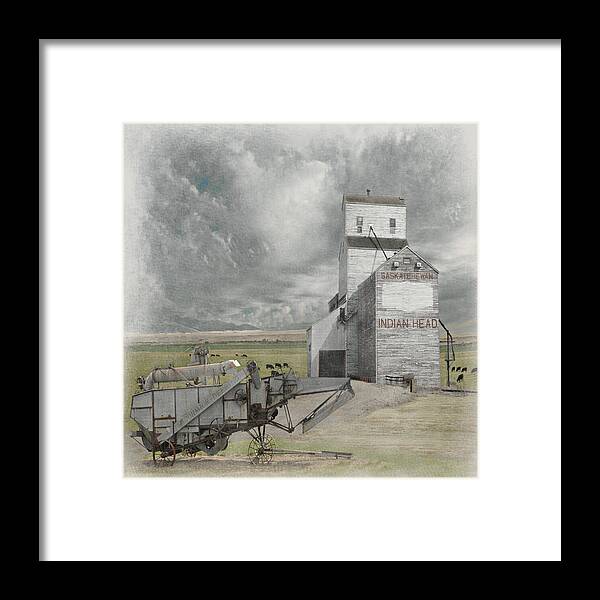 Canada Framed Print featuring the photograph Indian Head Grain by Jeff Burgess