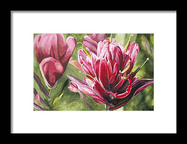 Wyoming Framed Print featuring the painting Indian Paintbrush by Aaron Spong