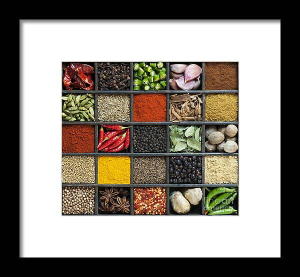 Indian Framed Print featuring the photograph Indian Spice Grid by Tim Gainey