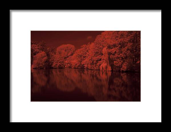 Lake Framed Print featuring the photograph Inner City Lake by Miguel Winterpacht