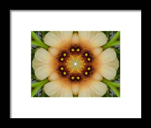Mandalas Framed Print featuring the digital art Inner Petal Flower Mandala by Diane Lynn Hix