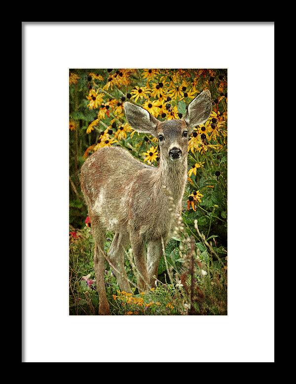 Fawn Framed Print featuring the photograph Innocent Fawn and Flowers by Peggy Collins