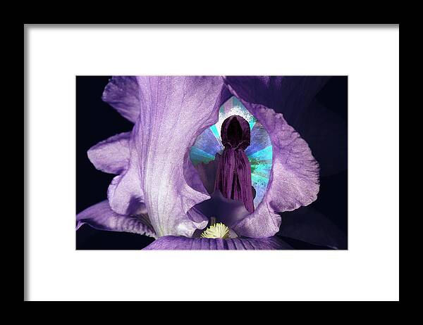 Iris Framed Print featuring the digital art Inside the Iris by Lisa Yount