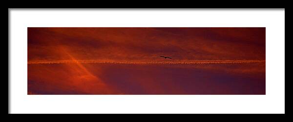 Sky Framed Print featuring the photograph Inspirational Flight by Tamara Michael