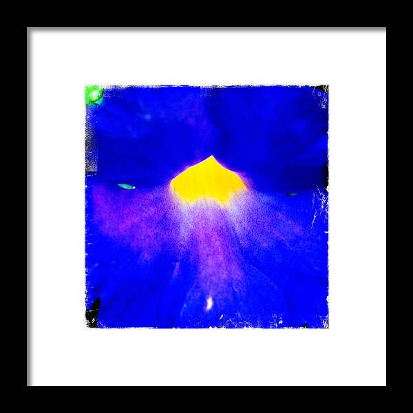 Flower Framed Print featuring the photograph Into the Blue Flower by Doveen Schecter