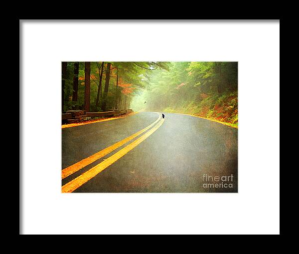 Alley Framed Print featuring the photograph Into The Fog by Darren Fisher